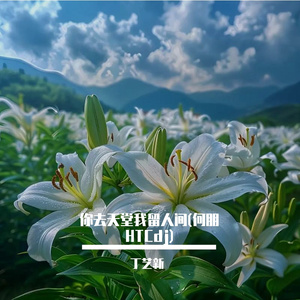 你去天堂我留人间(何朋HTCdj)