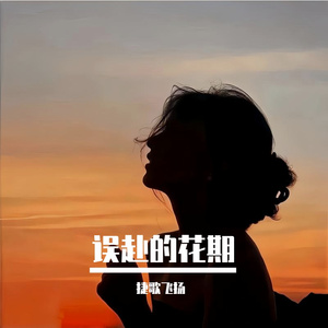 误赴的花期 伴奏