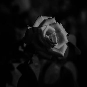 烟雾 (Prod.VibeBoi)