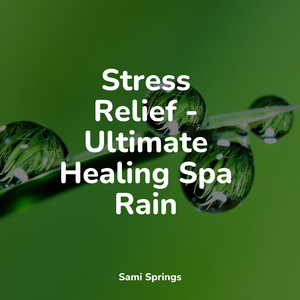 Nature, Cicadas, Birds