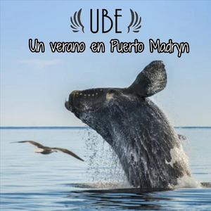 Un verano en Puerto Madryn