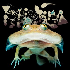 They Bout to Find Yo Body (Regards to Triple 6)