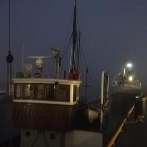 Bankfeskar Blues (feat. Tove Helen Bakkemo, Vocal)