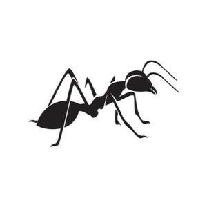 Ant