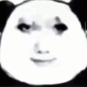 东北雨姐的带派小曲