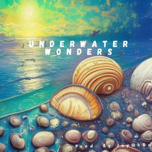 Shimmering Seashells