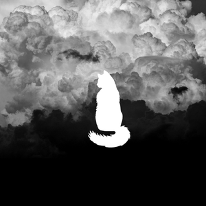 Resonancia (Original Mix)