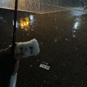 [Free] "灰暗的天空如同我那阴雨连绵的心" 低保真 Type Beat