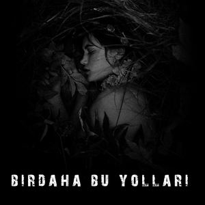 Bir Daha Bu Yolları