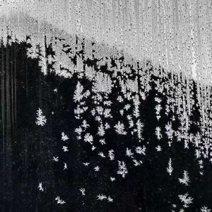 干嘛还忘不掉你(prod.by EVO MUSIC)