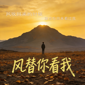 风替你看我