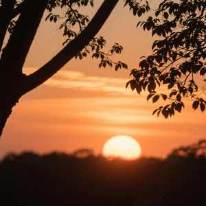 那些年，这点事