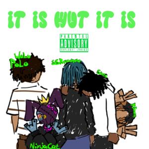 it is wut it is (feat. SSRqistolqete, snos, NINJA KAT & R3nea)