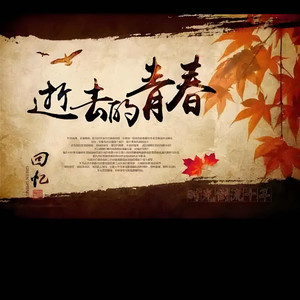 纸鸢的尾迹