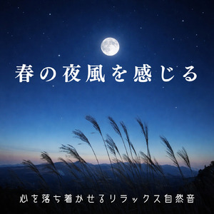 寝る前に聴く睡眠導入自然音 海辺の静けさが整える快眠