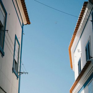 村口的老槐树又发了芽