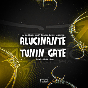 Alucinante Tunin Gate