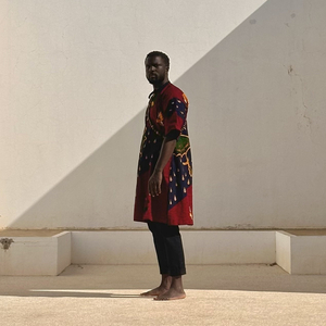 LE FEU DU CENTRE (La volonté créatrice)