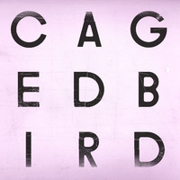 A Caged Bird/Imitations of Life