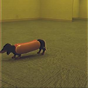 A Stray Dog in the Backrooms