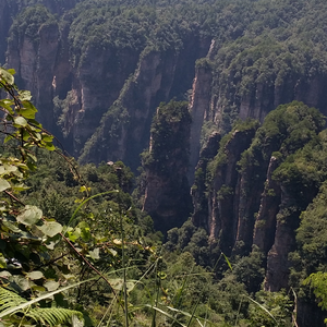 不能了断的情缘