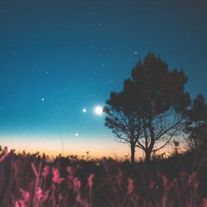 Om Namah Shivaya (Meaning) (feat. Nalini)