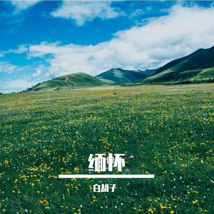缅怀
