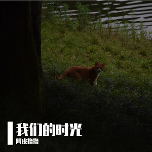 栾易柯