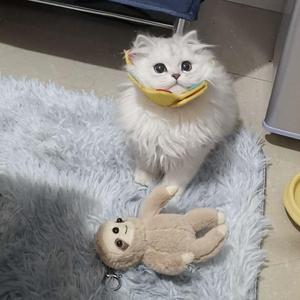 山风（cover秦瑜）《念念无明》片尾曲