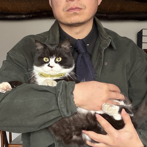 平方的爱