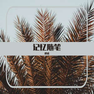 记忆随笔（prod EVOMUSIC）