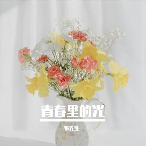 青春里的光