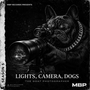 CINEMATIC