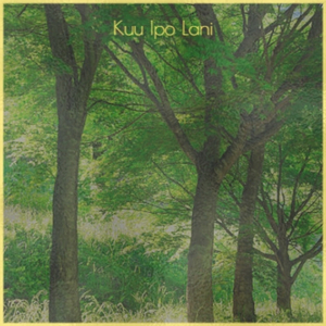 A Cat Has Nine Lives