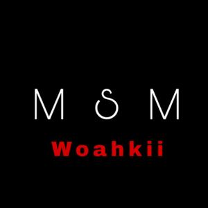 MSM