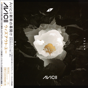 Without You (Acoustic Version)