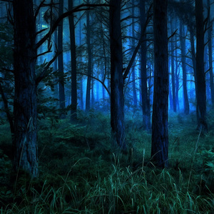 I Hear These Sounds of the Wind