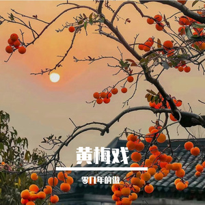 黄梅戏（吉他热搜）