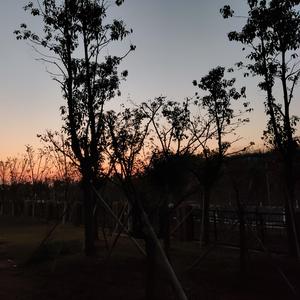 忆 时 光（Prod.Homa）