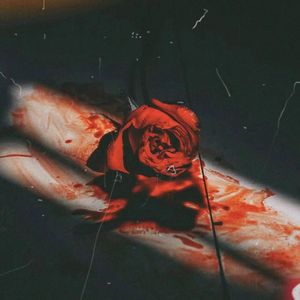 [Free] "Like A Dream"