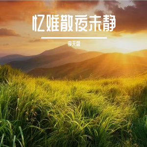 忆难散夜未静