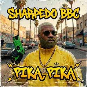 Pika, Pika (feat. Sharpedo BBC)