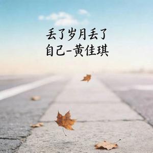 丢了岁月丢了自己 (DJ涵柱版)