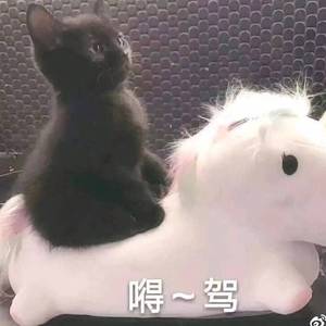 不正常恋爱物语