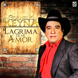 La Desprestigiada