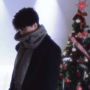 圣诞爱Christmas love