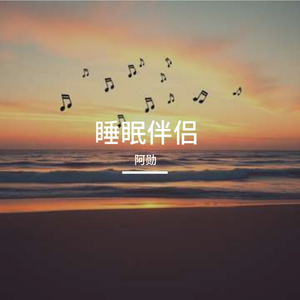 睡眠伴侣
