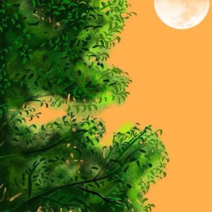 这夏天跟你说声对不起