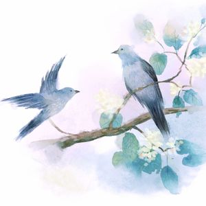 杨花落尽子规啼