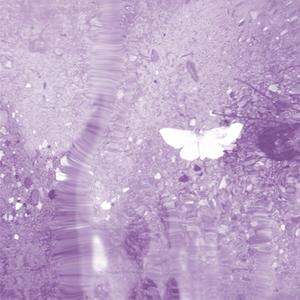 La Quadratura Del Cerchio